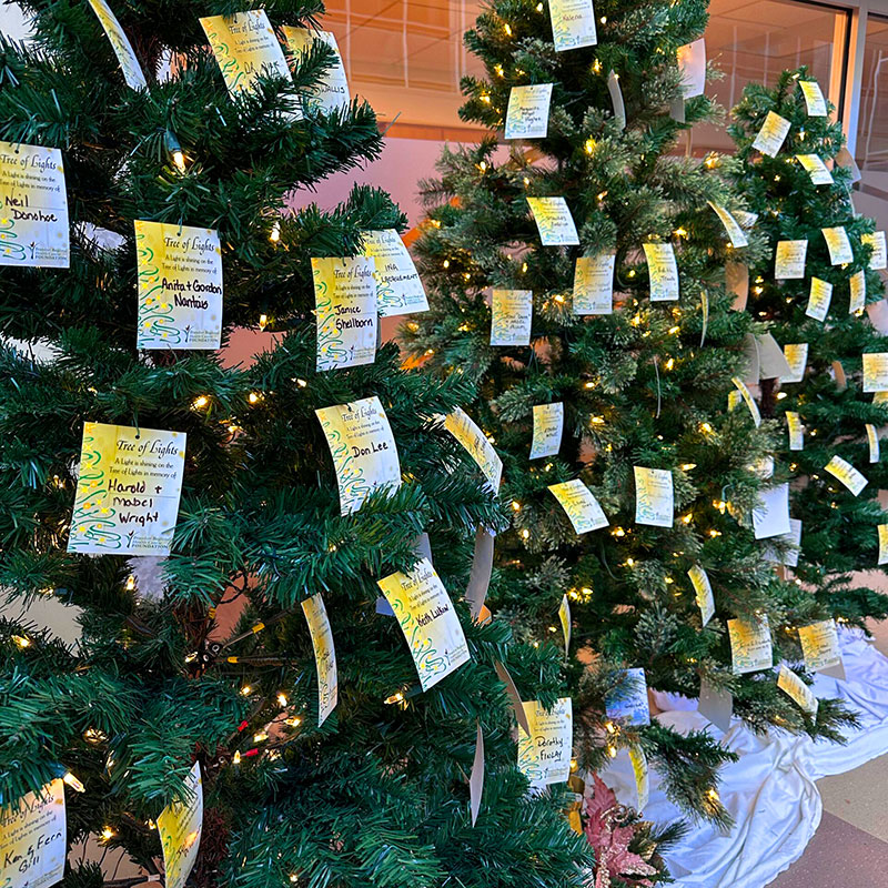 Brandon Regional Health Centre Foundation's annual Tree of Lights showcases three Christmas trees adorned with white lights and cards that memorialize a loved one we've lost, or honour an individual or group.