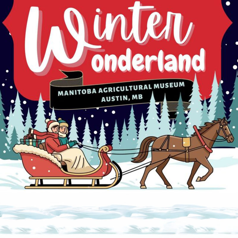 Winter Wonderland featured image